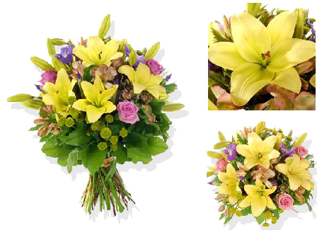 Bouquet Flores Elegância Imperial - Entrega de Flores Arranjos Bouquets Cestos Floristas Loja de Flores